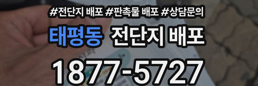 태평동 전단지 배포