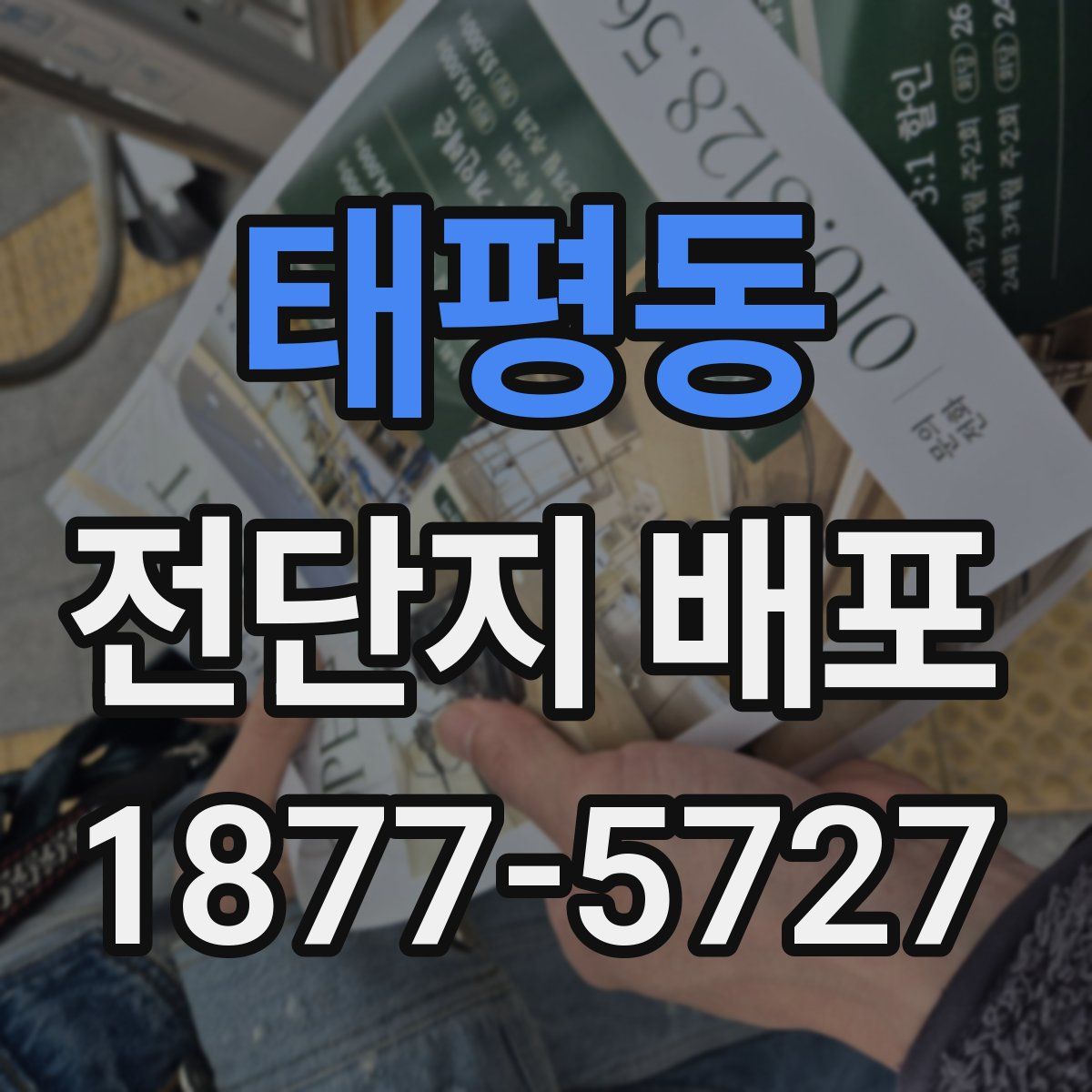 태평동 전단지 배포