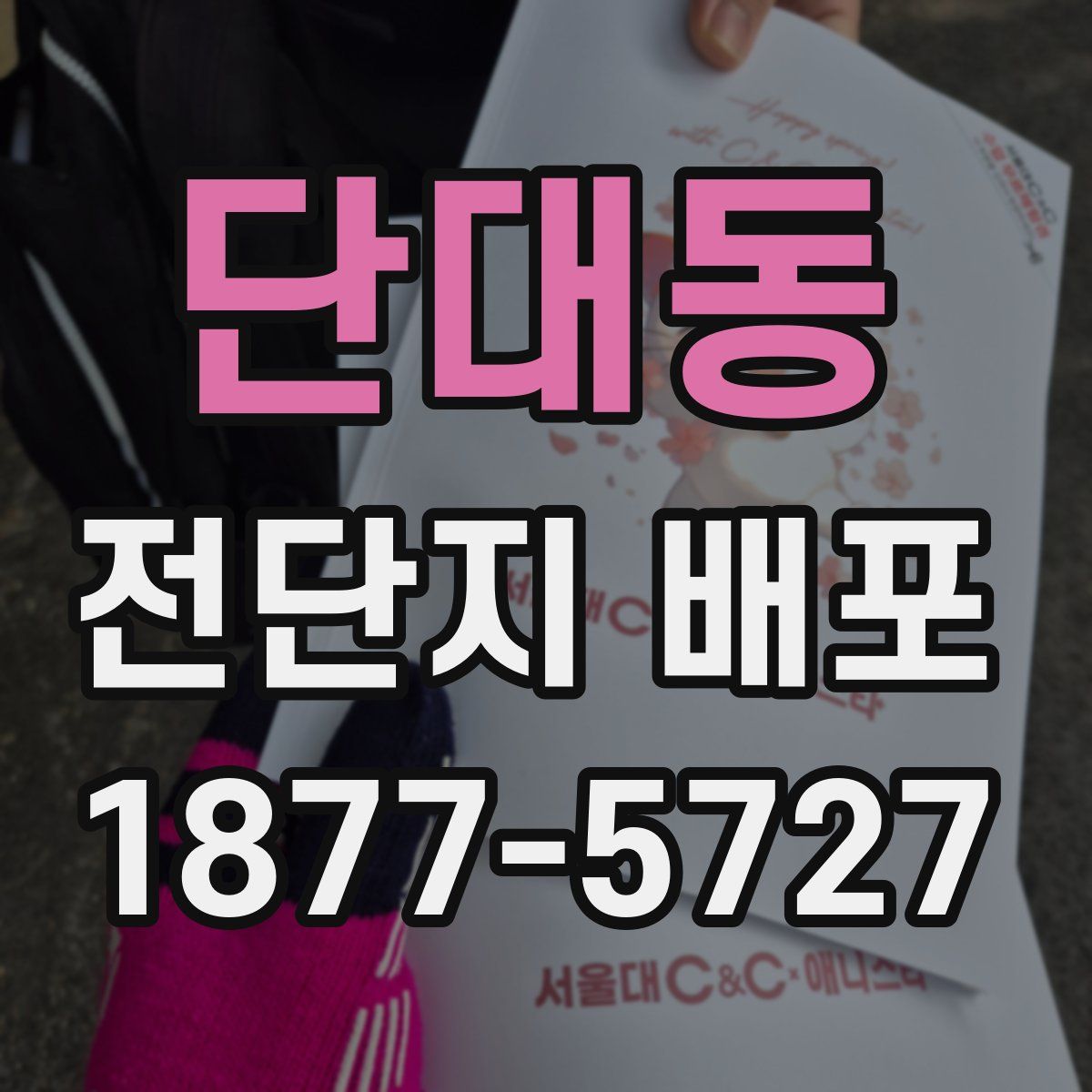 단대동 전단지 배포