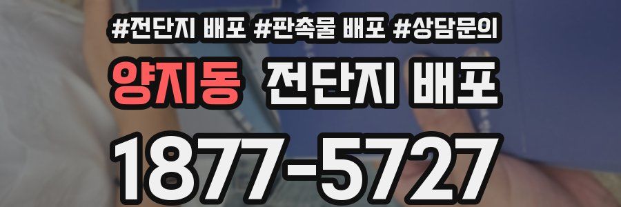양지동 전단지 배포