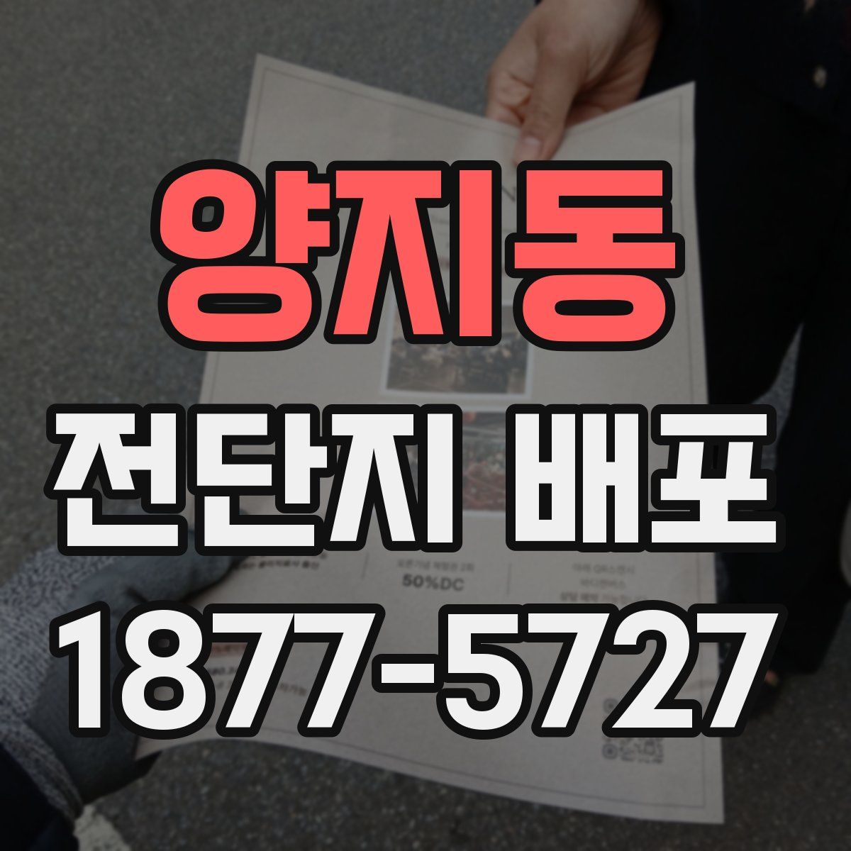 양지동 전단지 배포