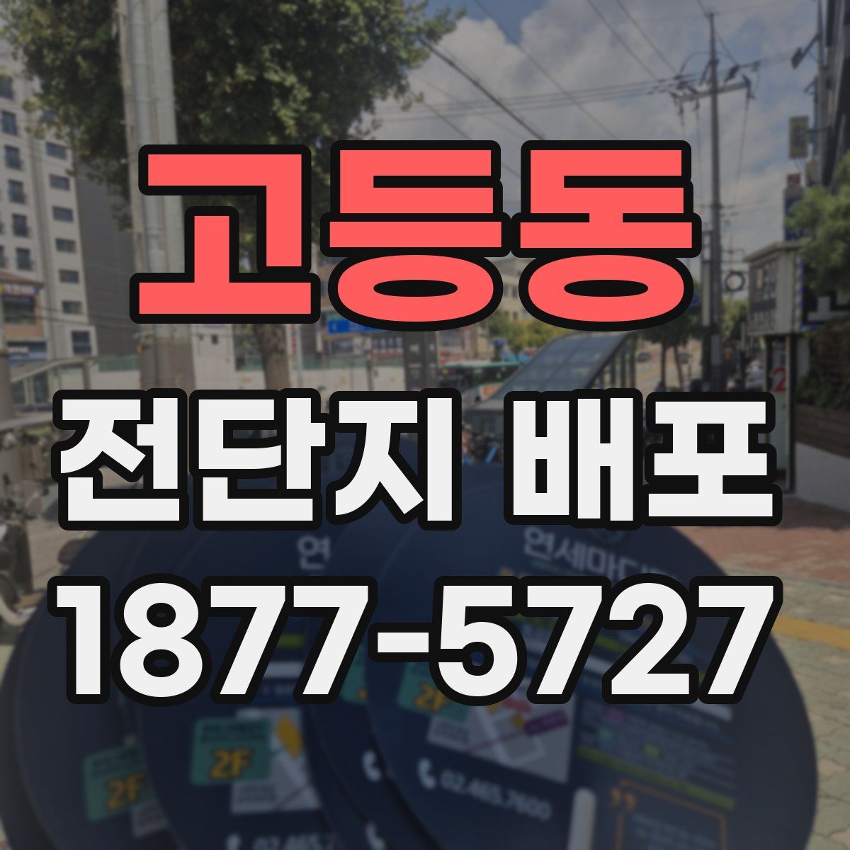 고등동 전단지 배포