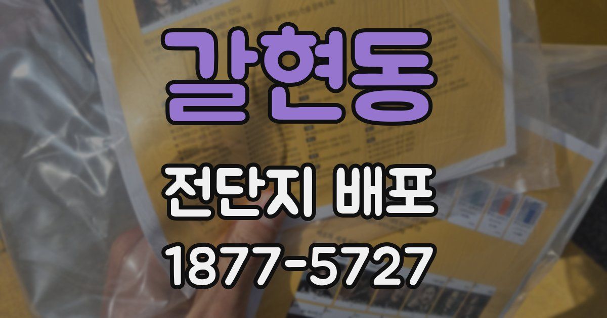 갈현동 전단지 배포