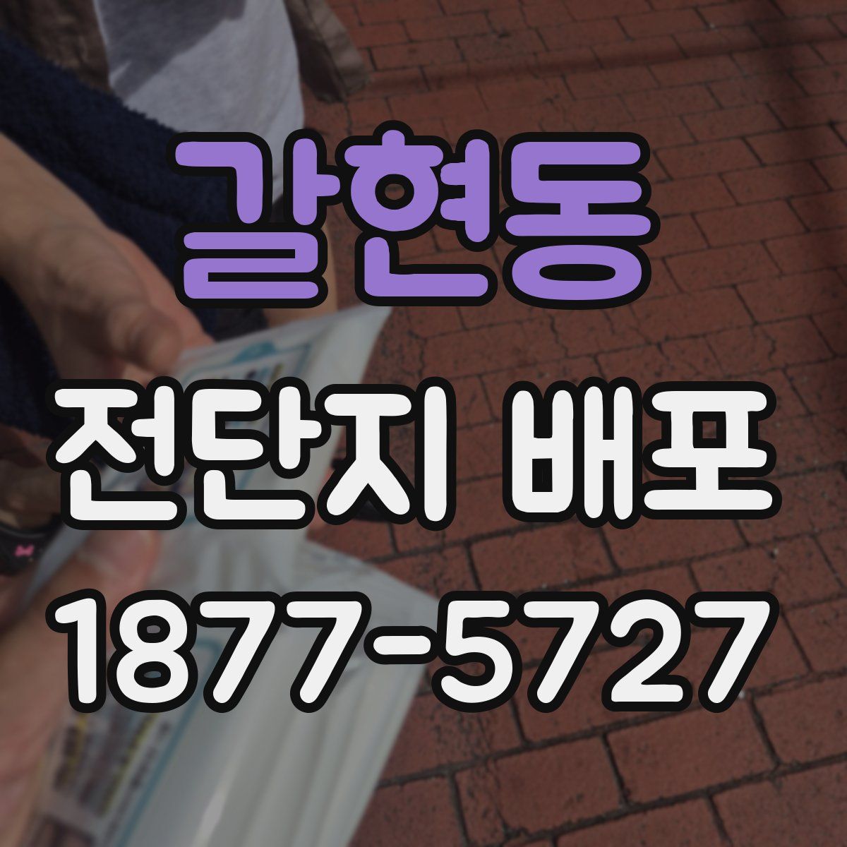 갈현동 전단지 배포
