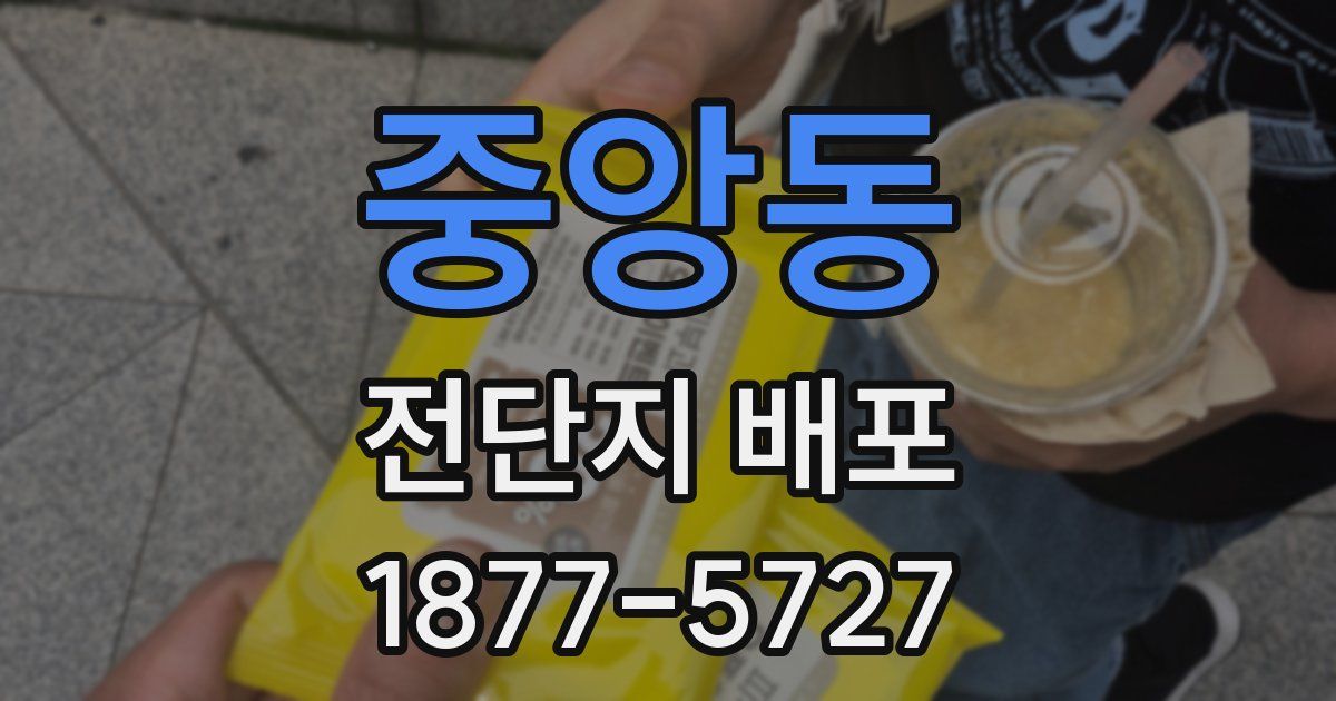 중앙동 전단지 배포
