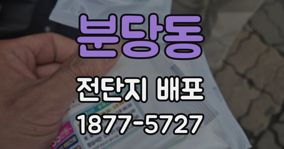분당동 전단지 배포