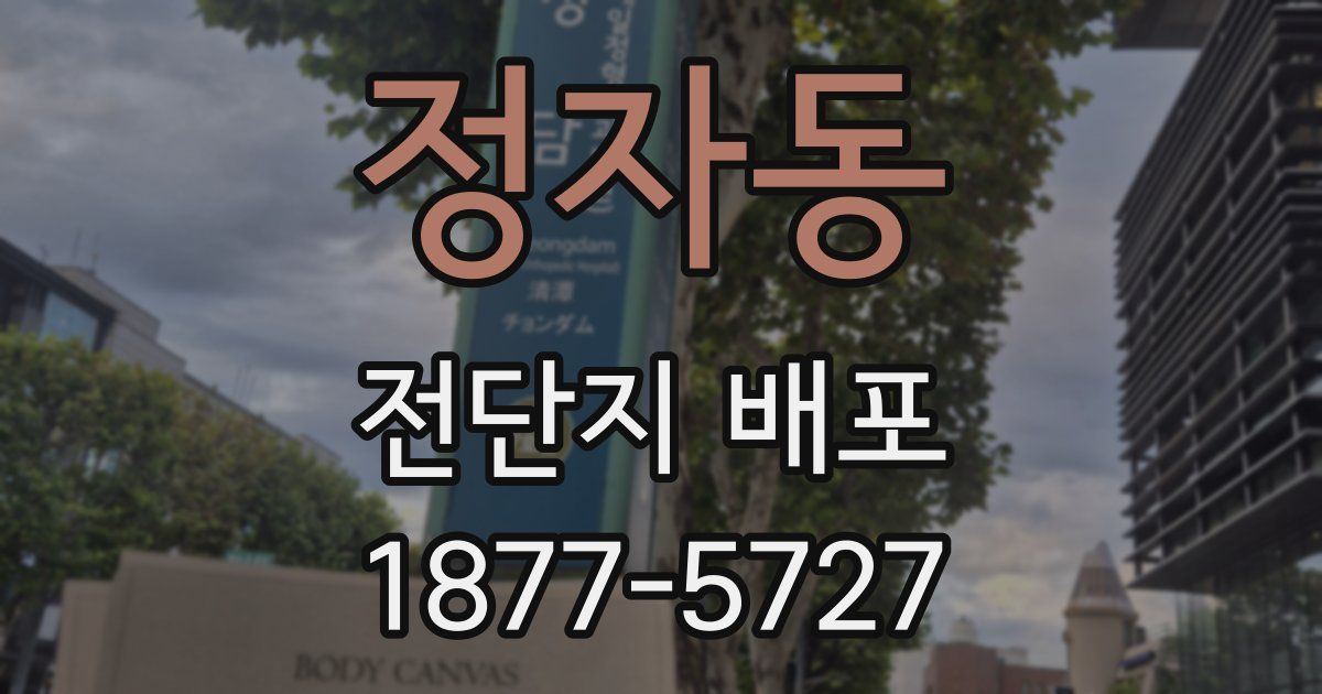 정자동 전단지 배포