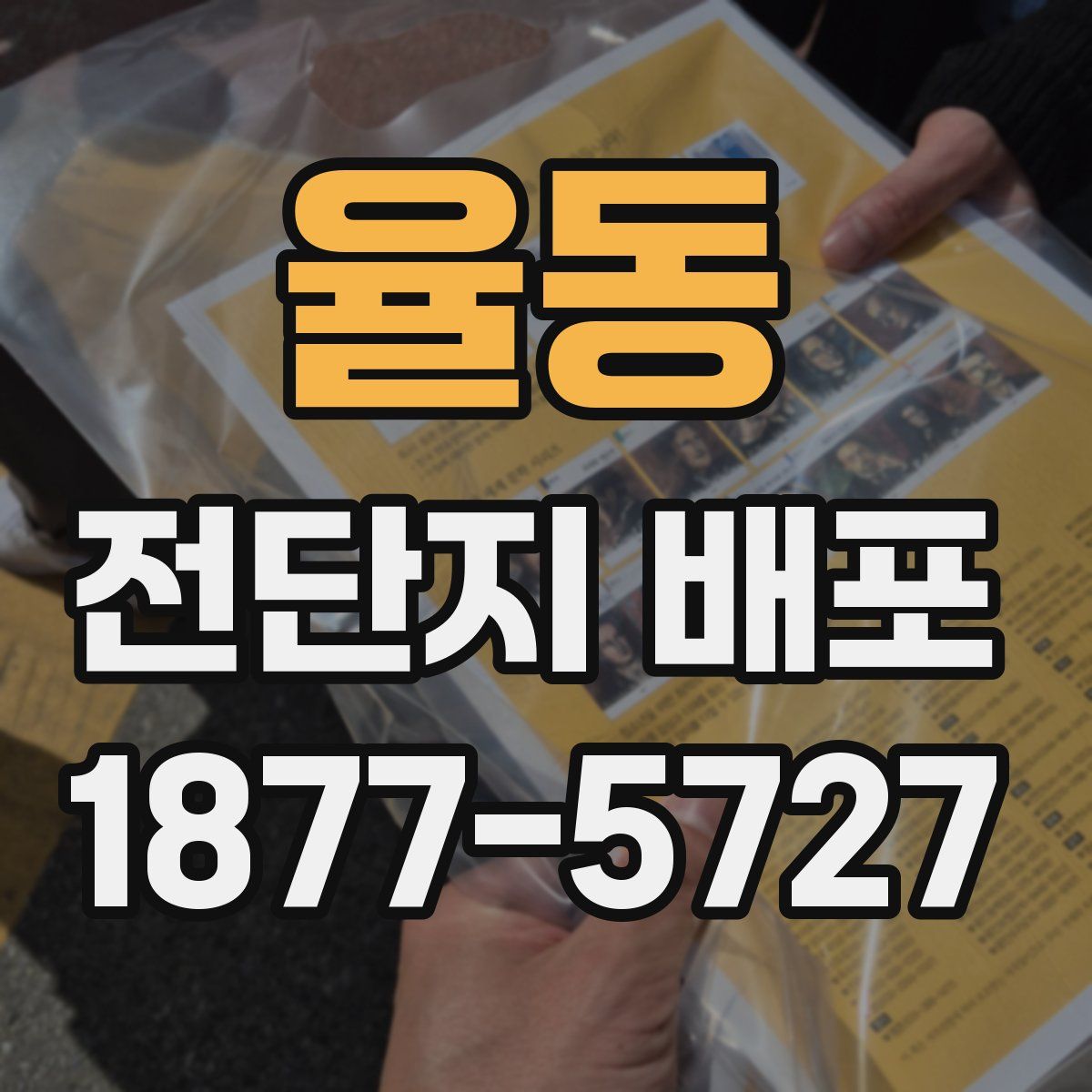 율동 전단지 배포