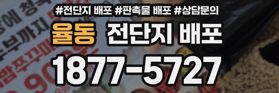 율동 전단지 배포