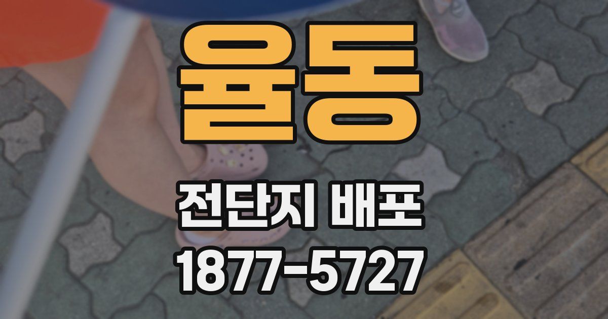 율동 전단지 배포