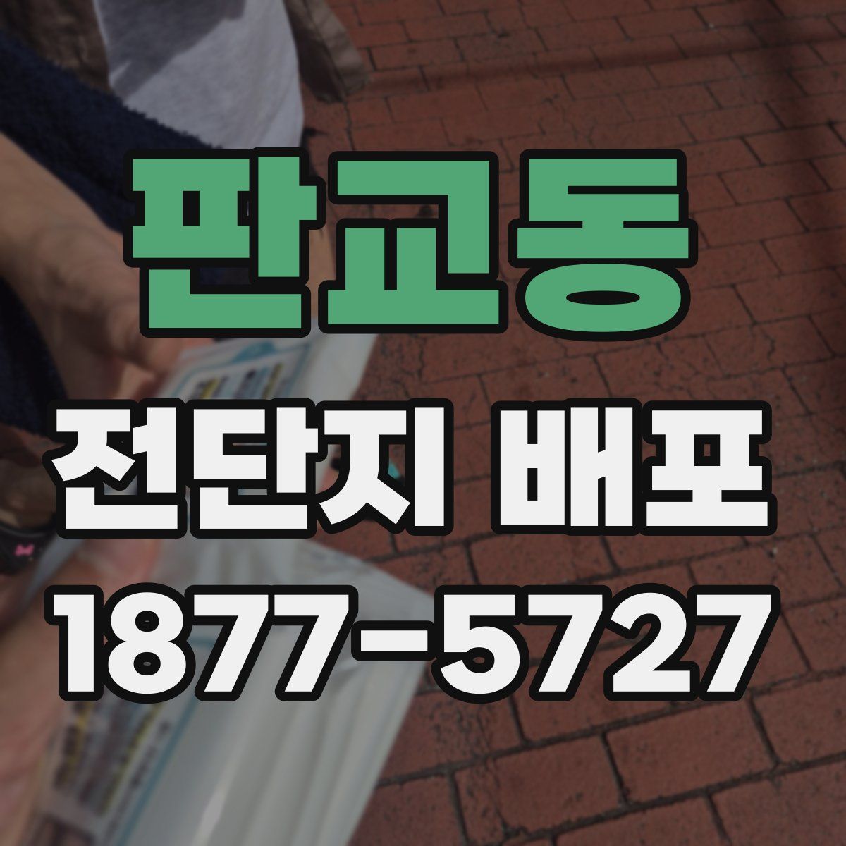 판교동 전단지 배포