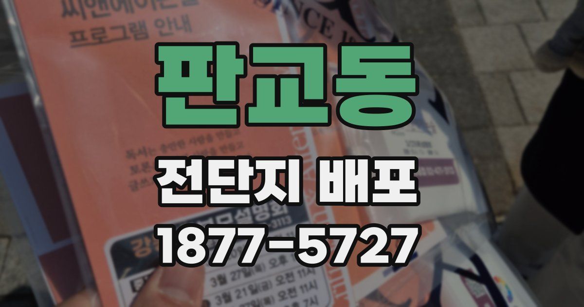 판교동 전단지 배포