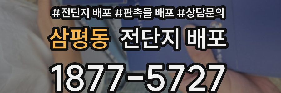 삼평동 전단지 배포