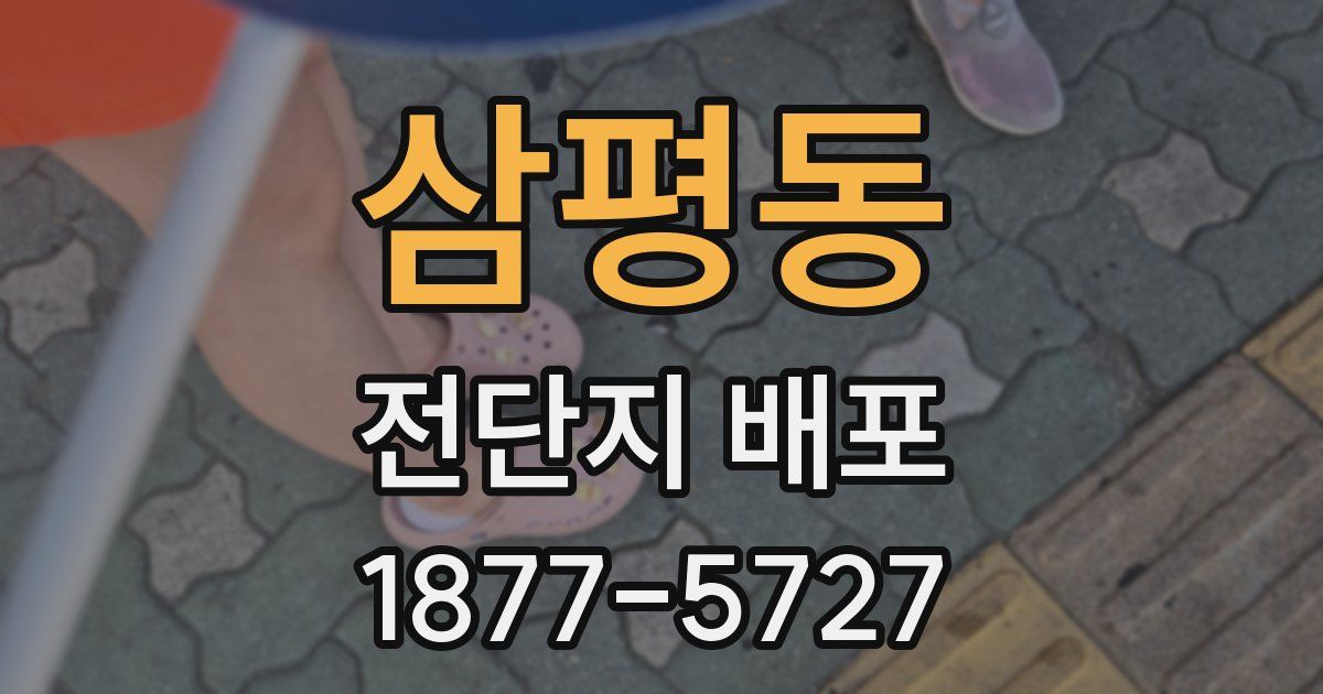 삼평동 전단지 배포