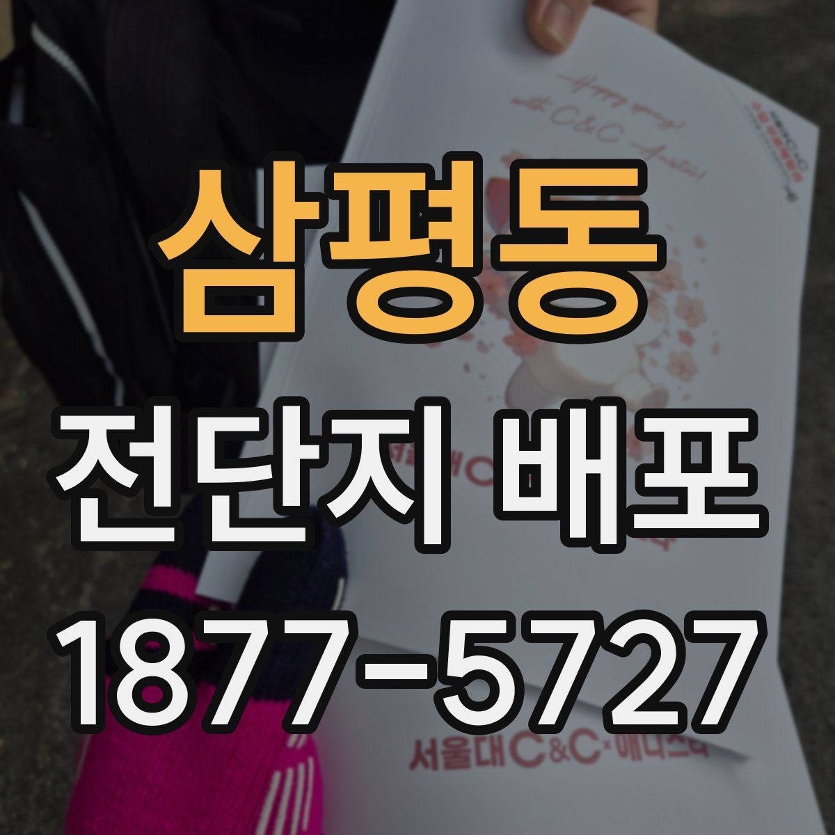 삼평동 전단지 배포