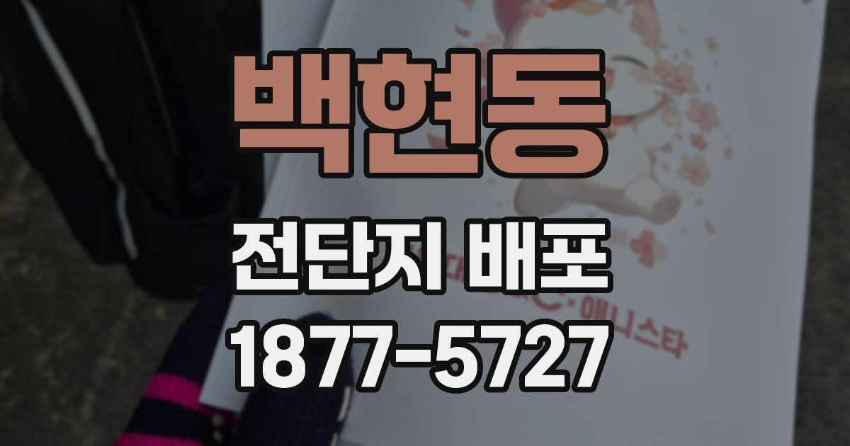 백현동 전단지 배포