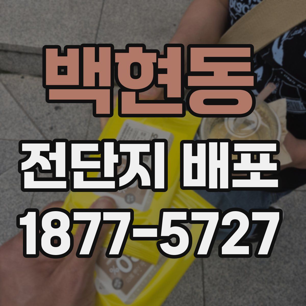 백현동 전단지 배포