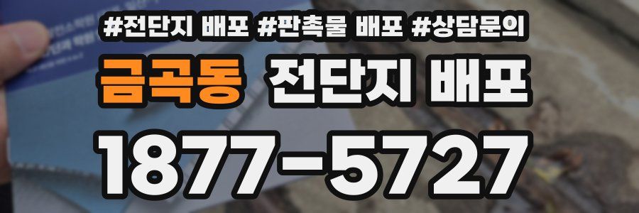금곡동 전단지 배포