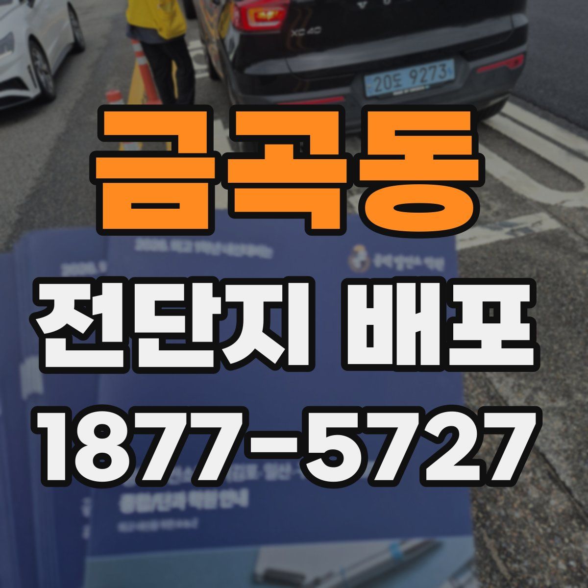 금곡동 전단지 배포