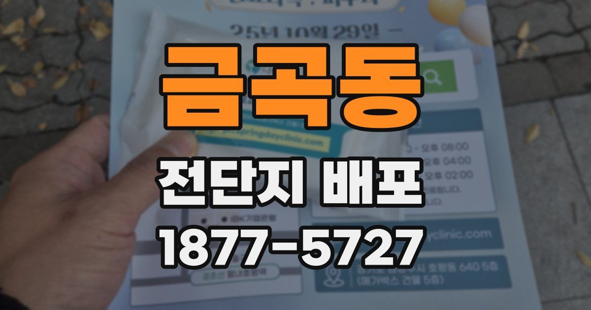 금곡동 전단지 배포