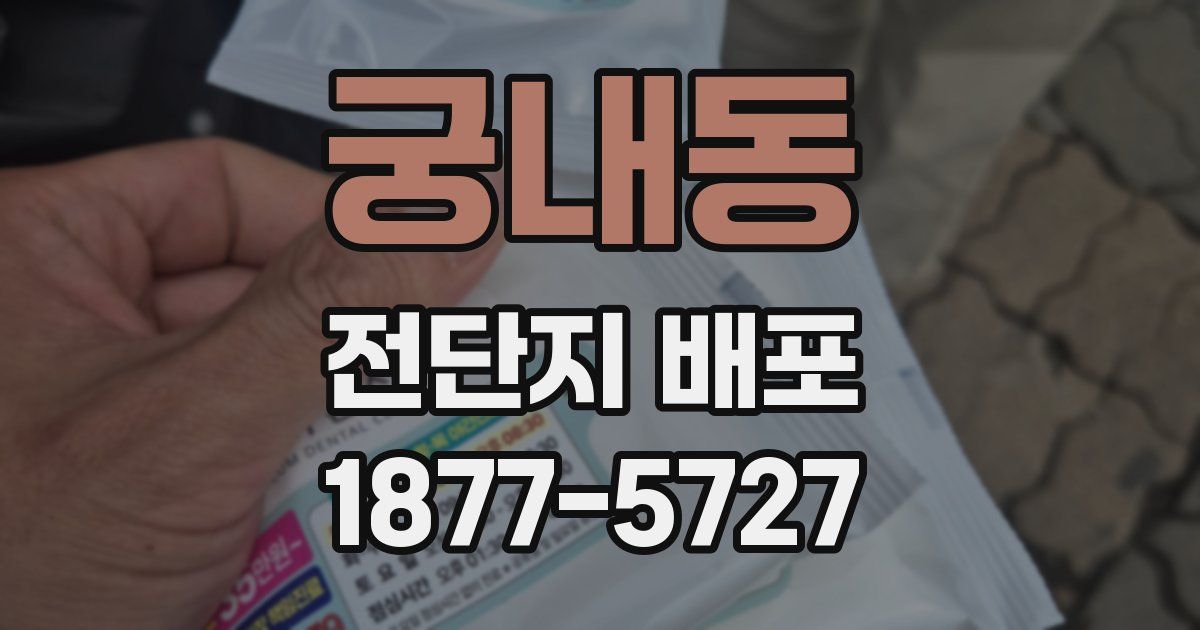 궁내동 전단지 배포