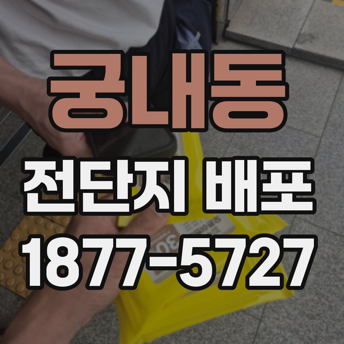 궁내동 전단지 배포