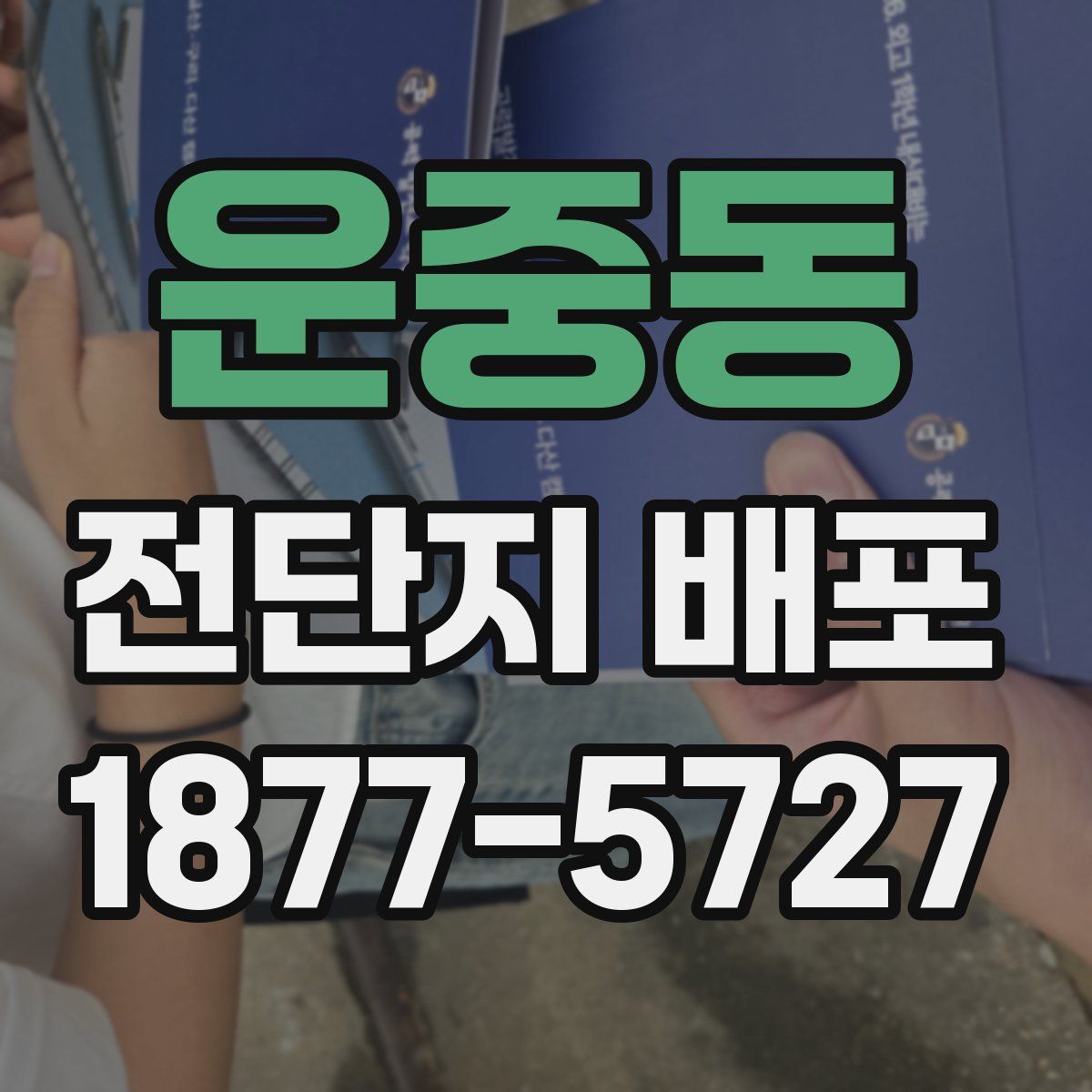 운중동 전단지 배포