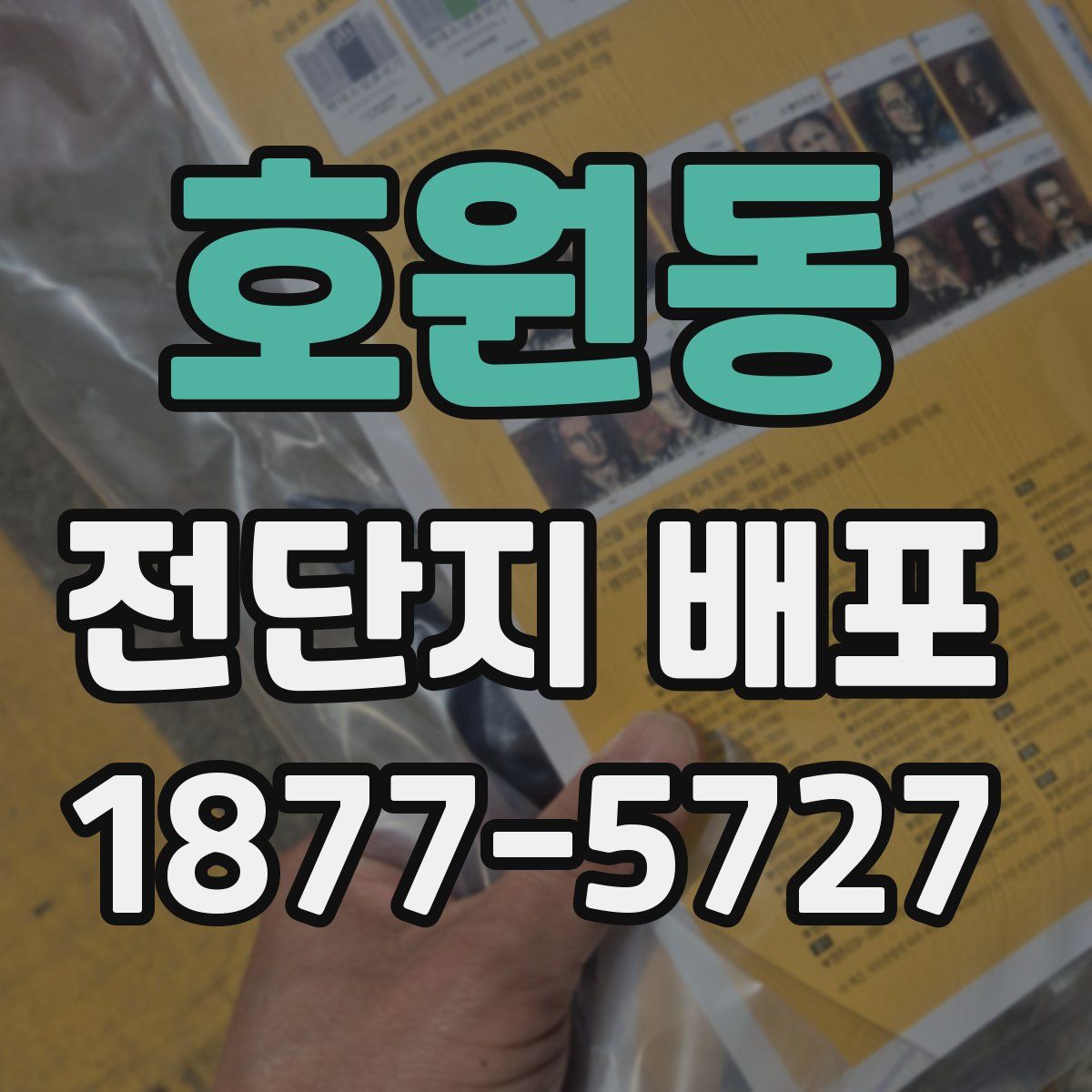 호원동 전단지 배포