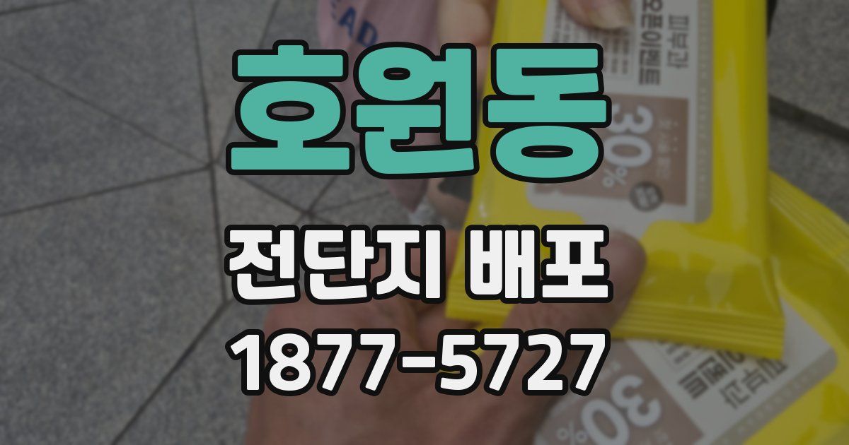 호원동 전단지 배포
