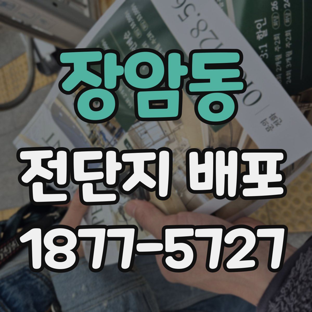 장암동 전단지 배포