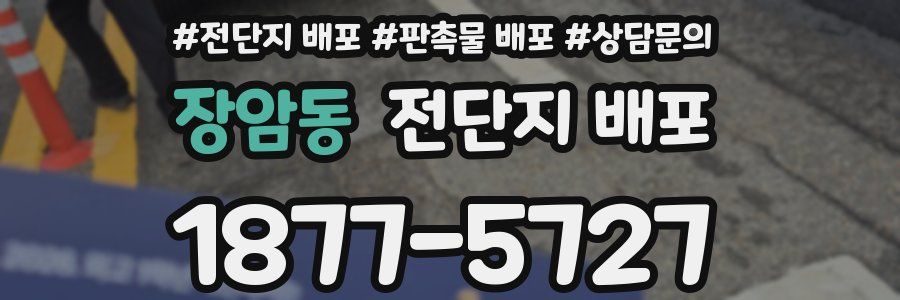 장암동 전단지 배포