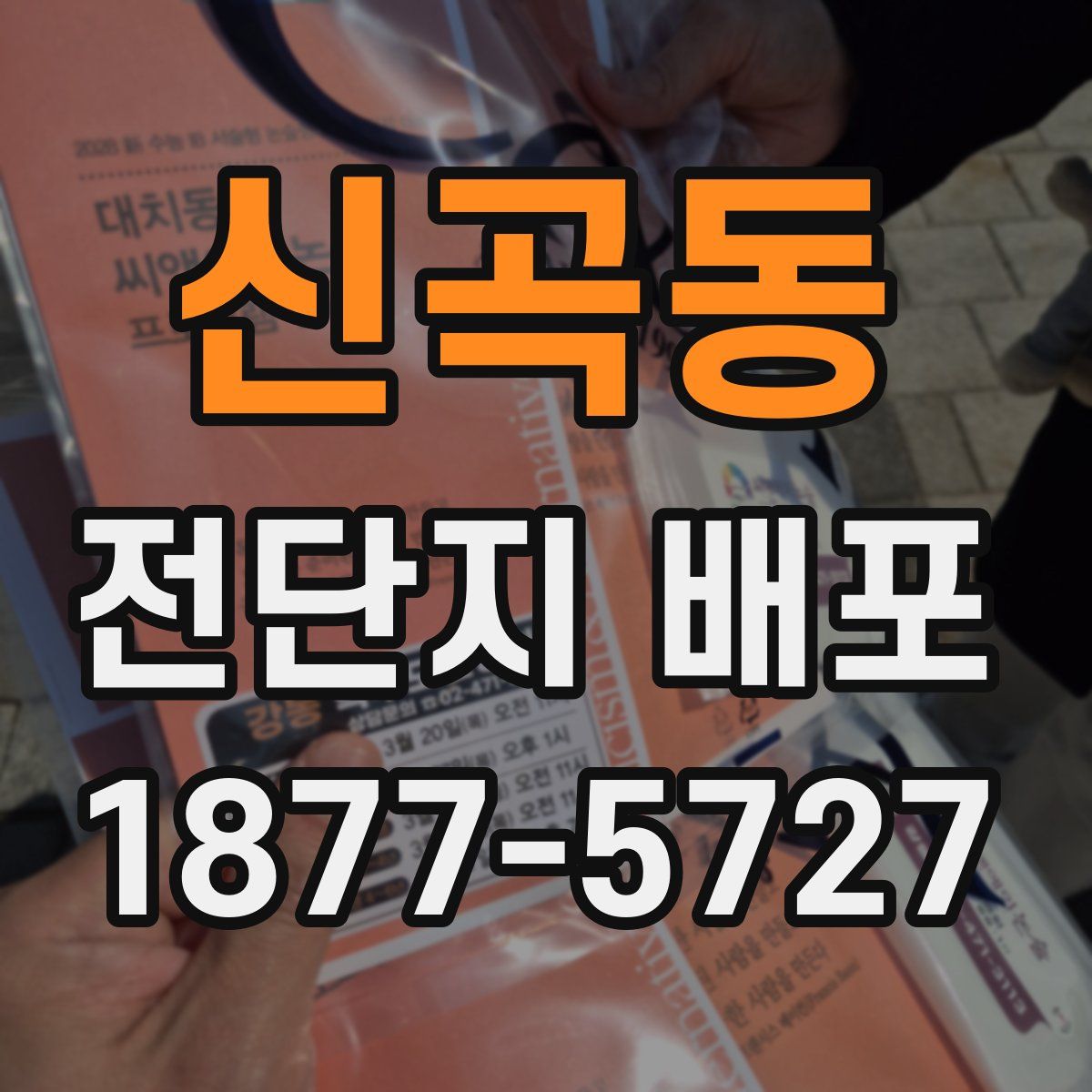 신곡동 전단지 배포