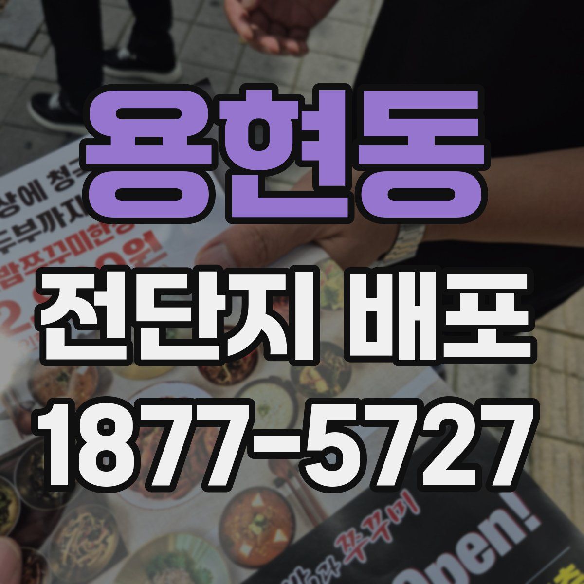 용현동 전단지 배포