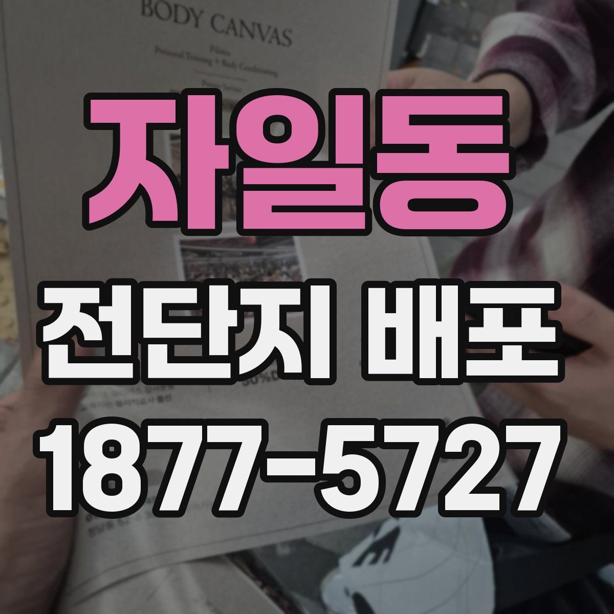 자일동 전단지 배포