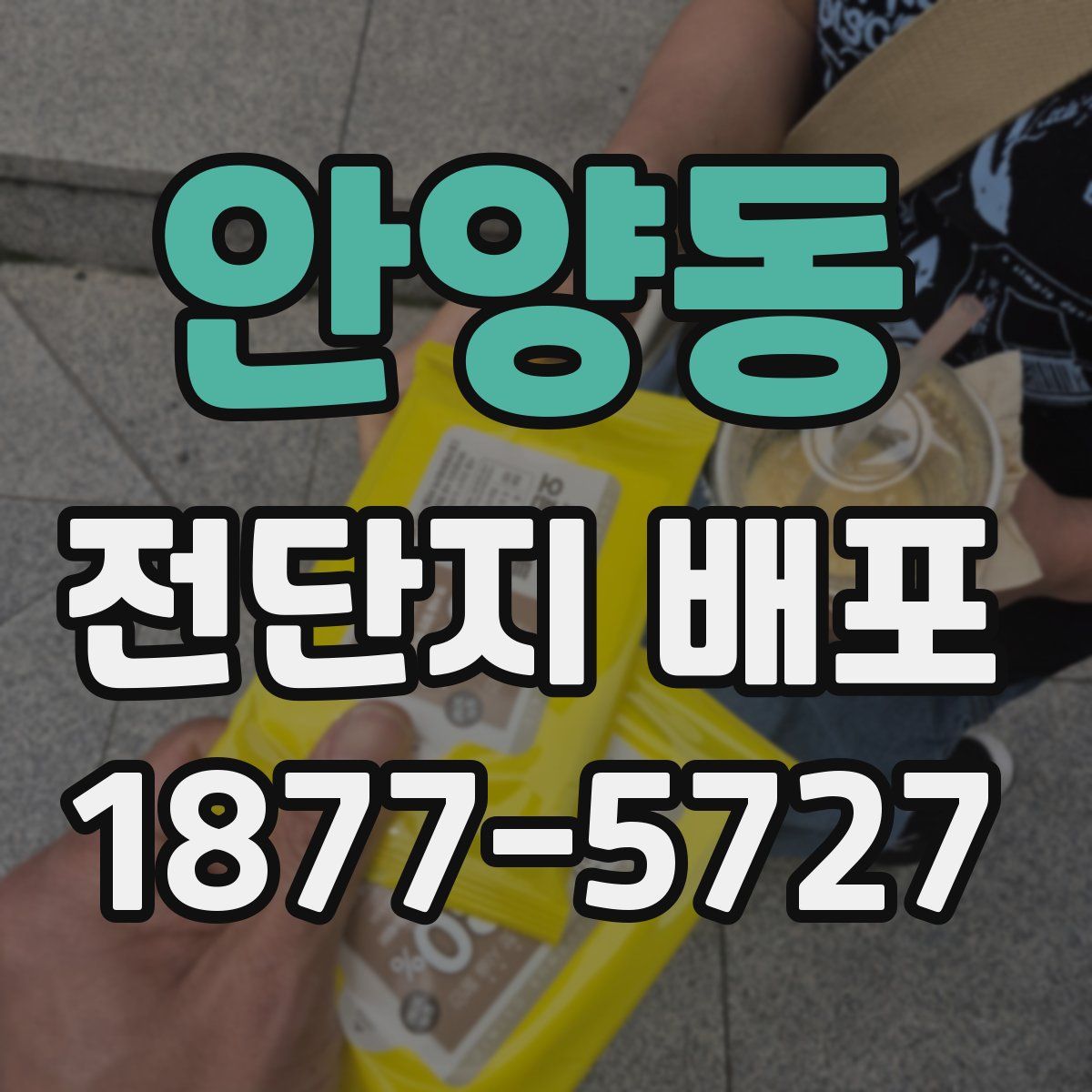 안양동 전단지 배포