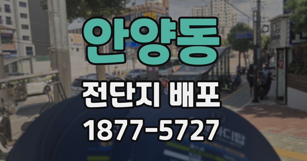 안양동 전단지 배포