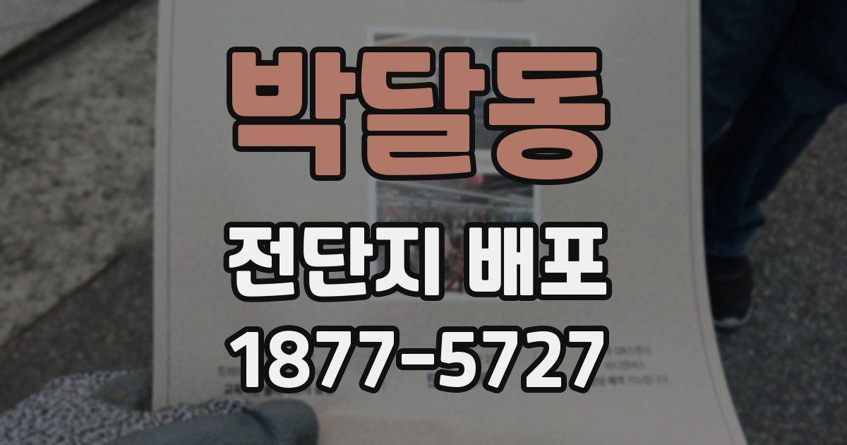 박달동 전단지 배포