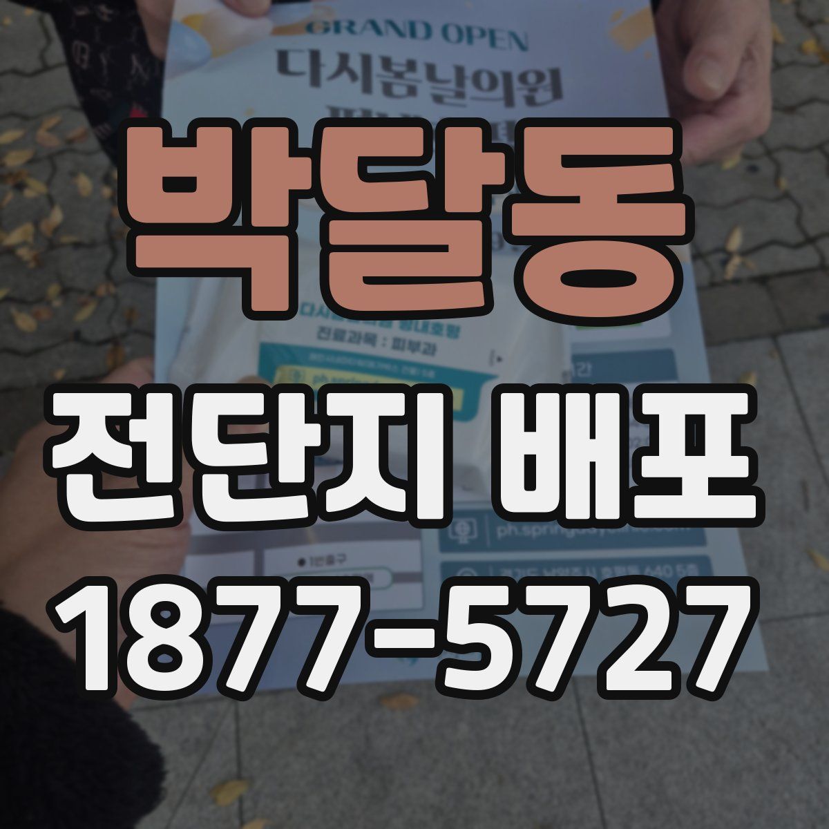 박달동 전단지 배포