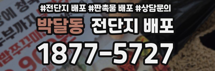박달동 전단지 배포