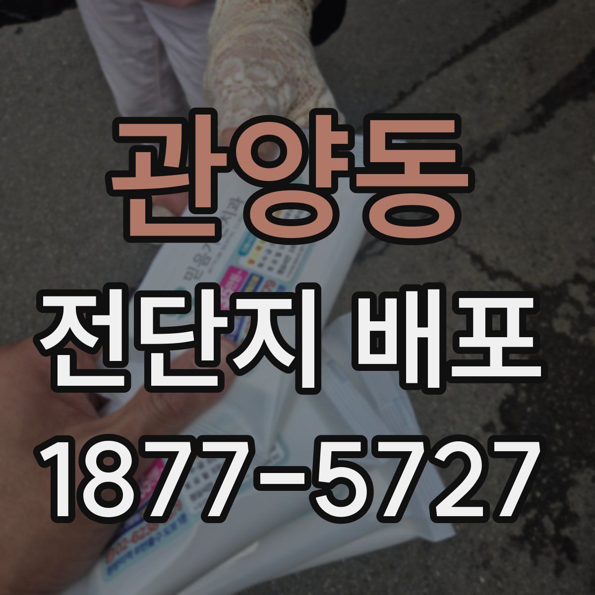 관양동 전단지 배포