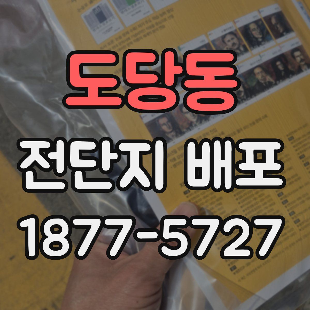도당동 전단지 배포