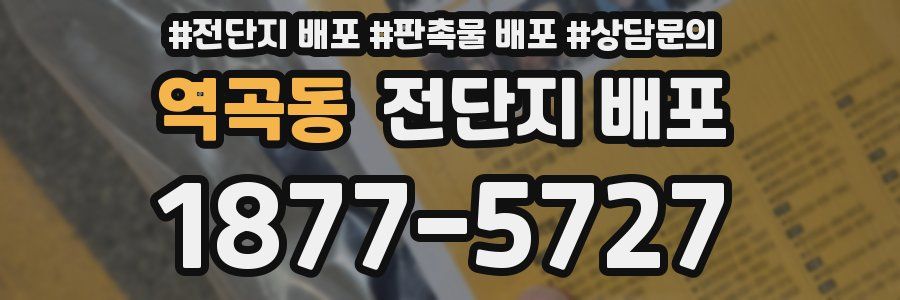 역곡동 전단지 배포