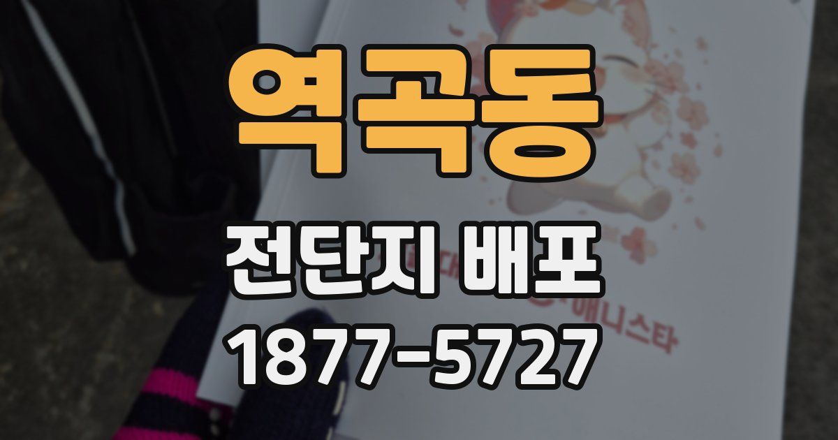 역곡동 전단지 배포