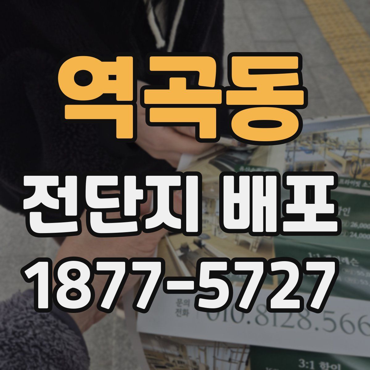 역곡동 전단지 배포