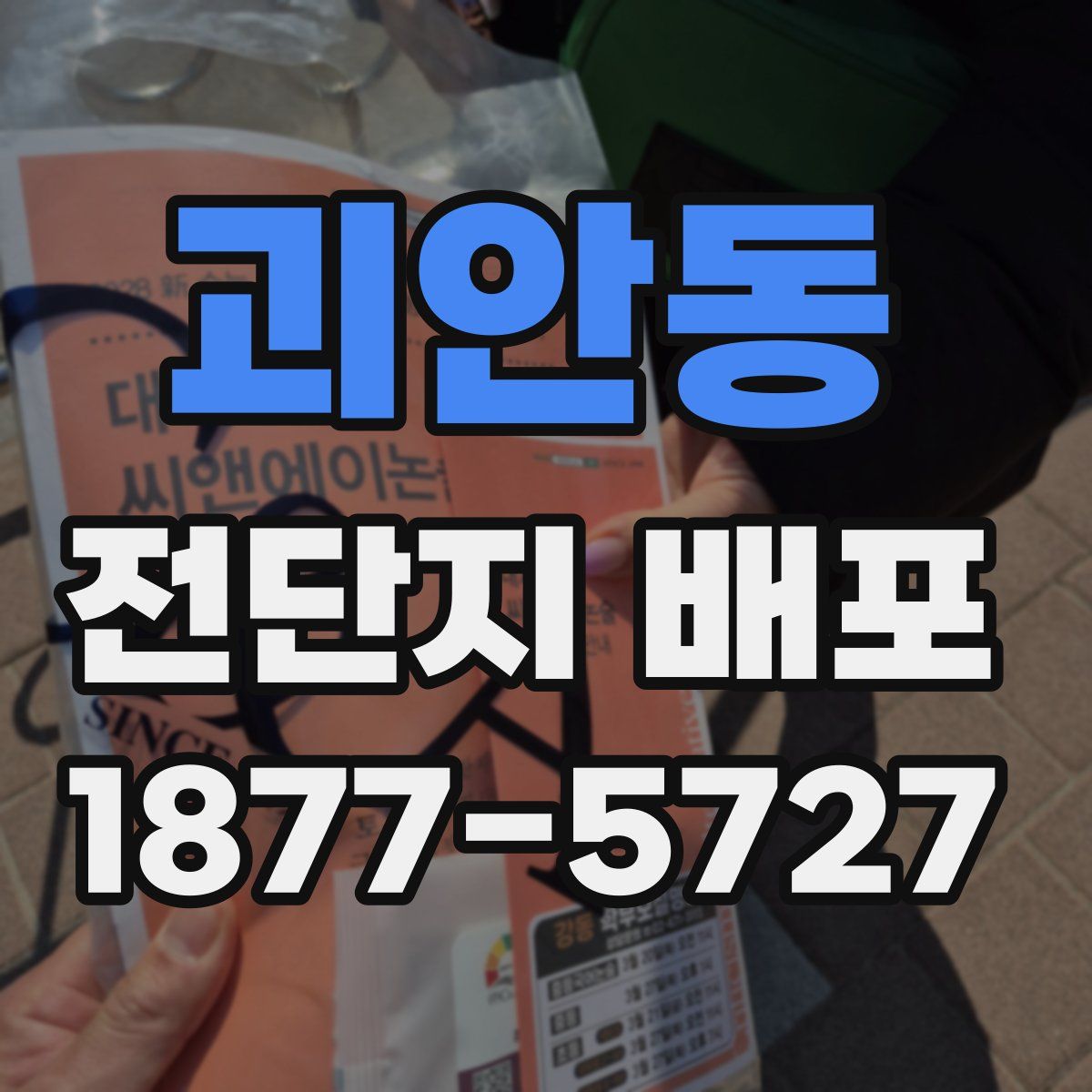 괴안동 전단지 배포