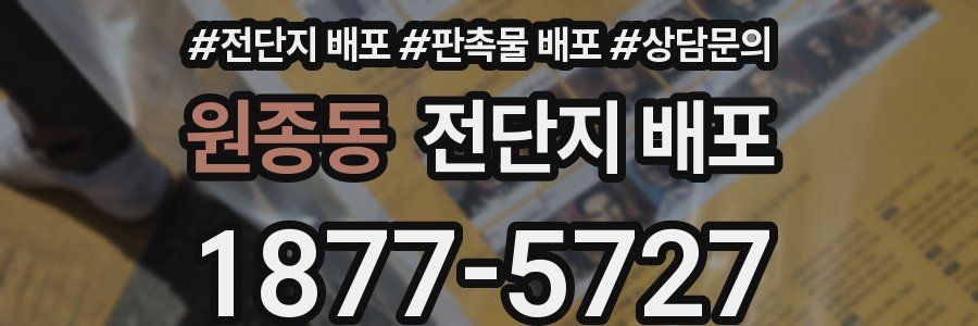 원종동 전단지 배포