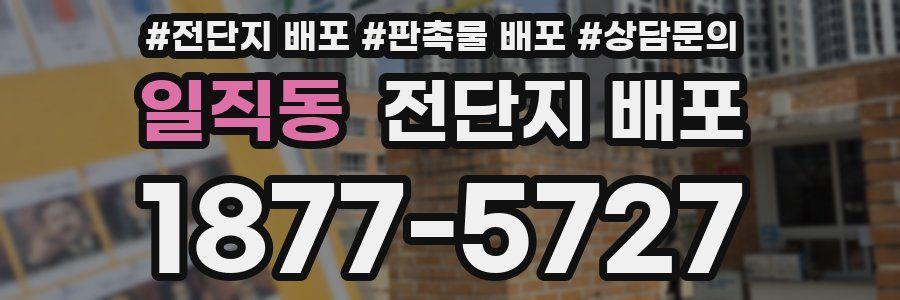 일직동 전단지 배포
