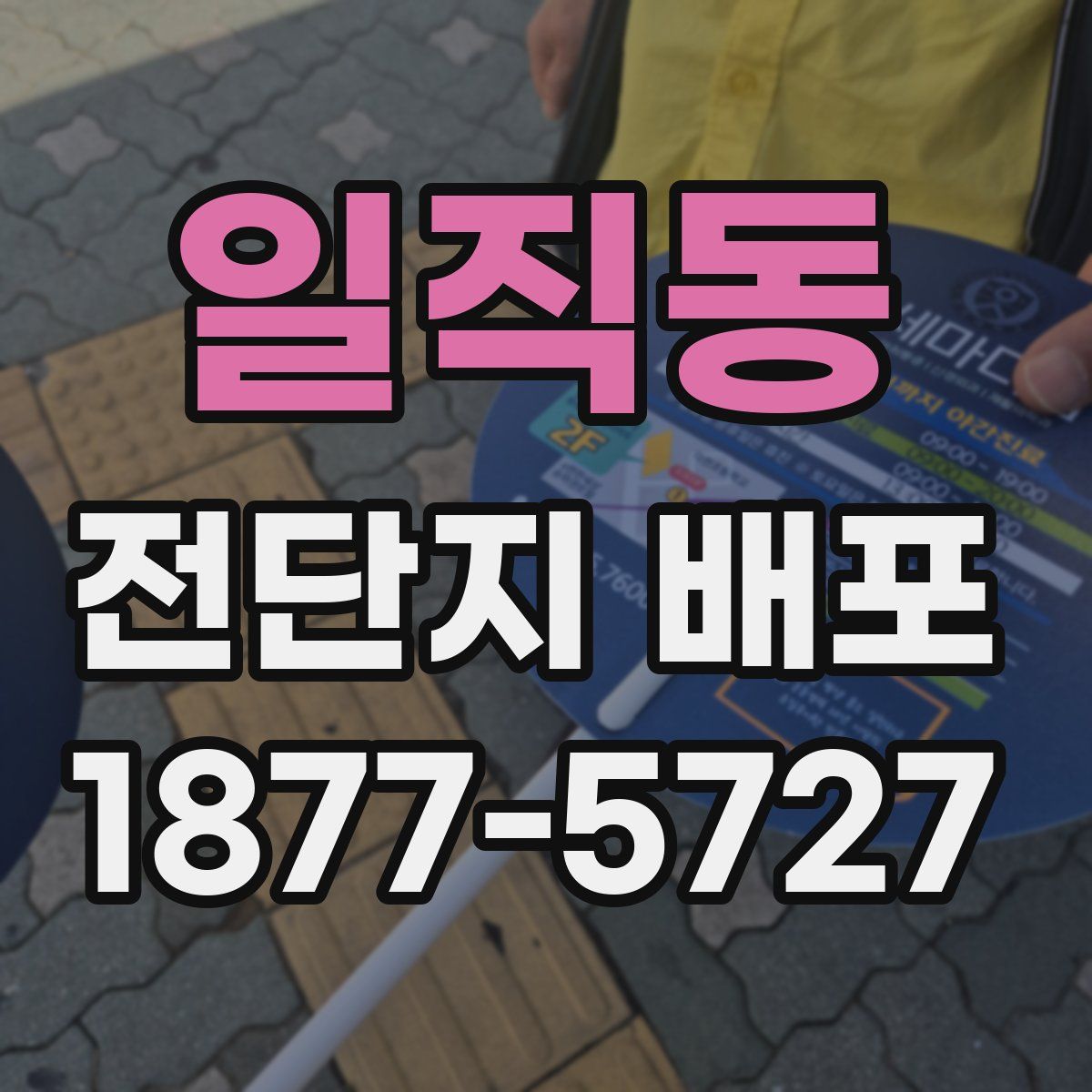 일직동 전단지 배포