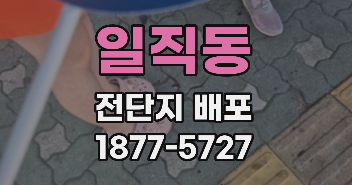 일직동 전단지 배포