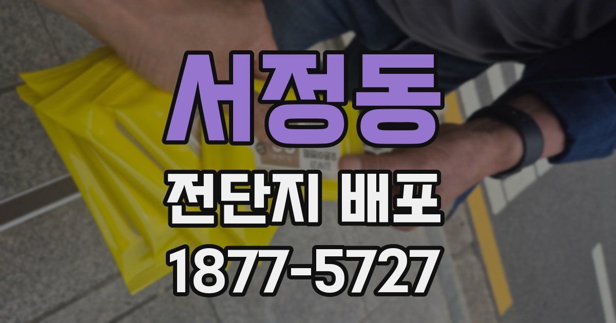서정동 전단지 배포